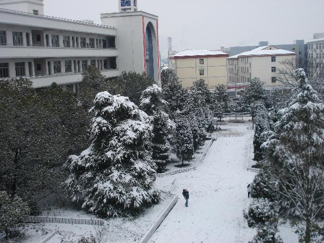校园雪景远眺